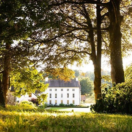 Grove Of Narberth Hotell Exteriör bild
