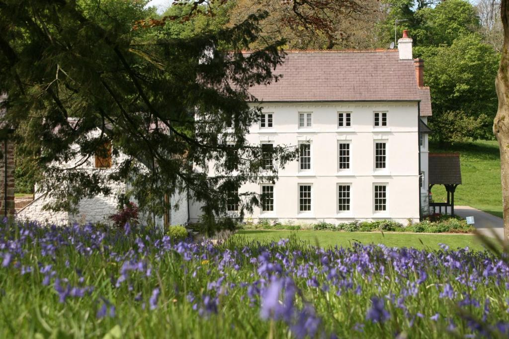 Grove Of Narberth Hotell Exteriör bild